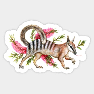 Numbat with Bottlebrush Sticker